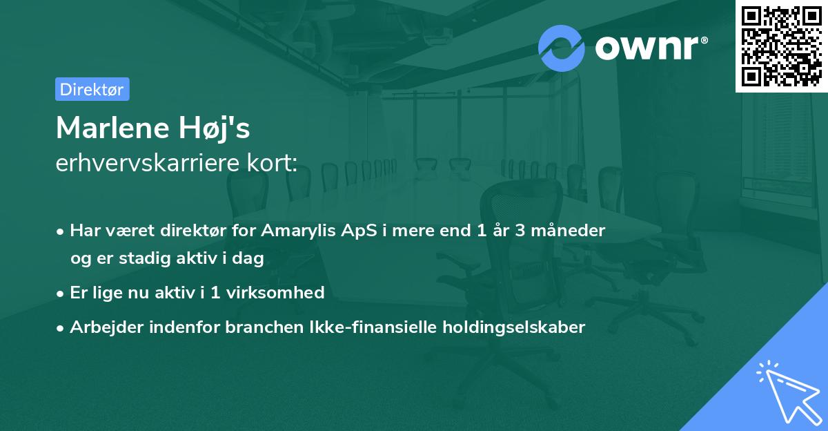 Marlene Høj's erhvervskarriere kort