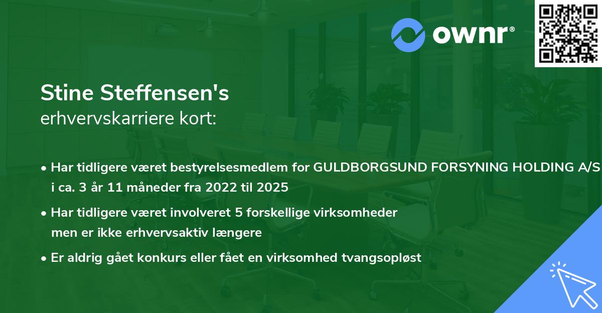 Stine Steffensen's erhvervskarriere kort