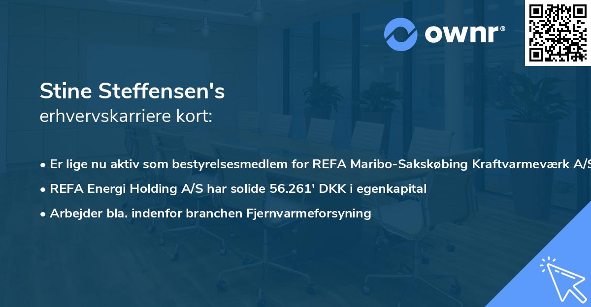 Stine Steffensen's erhvervskarriere kort
