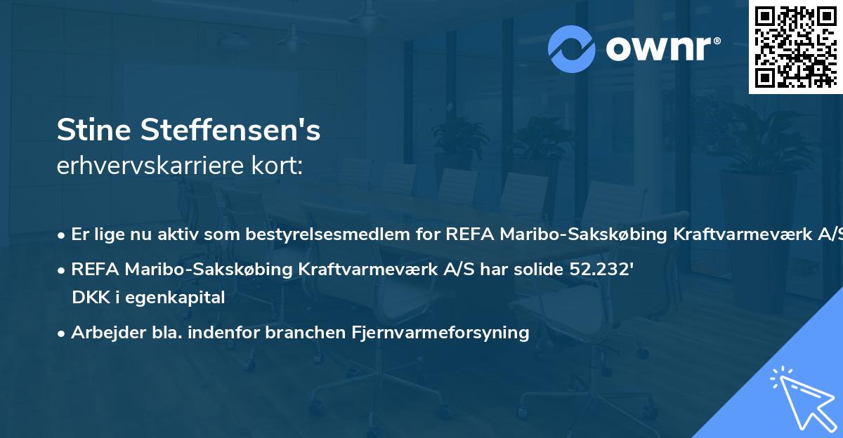 Stine Steffensen's erhvervskarriere kort