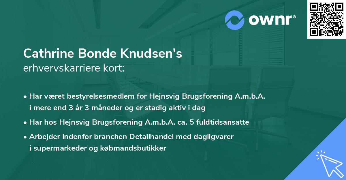 Cathrine Bonde Knudsen's erhvervskarriere kort