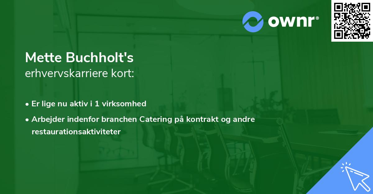 Mette Buchholt's erhvervskarriere kort
