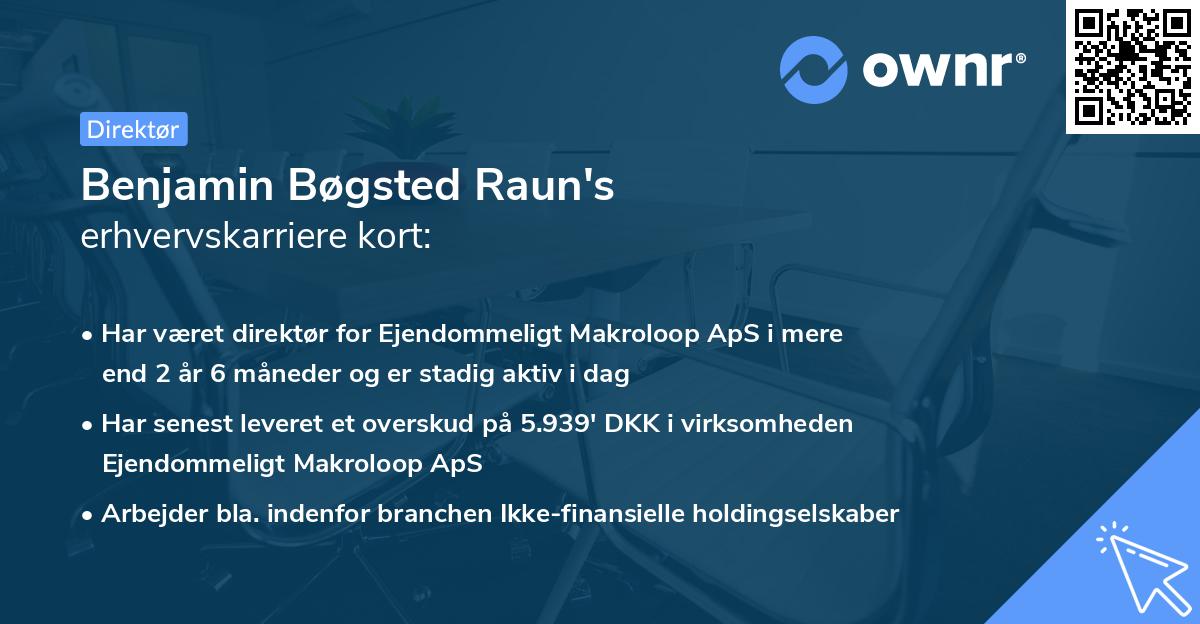 Benjamin Bøgsted Raun's erhvervskarriere kort