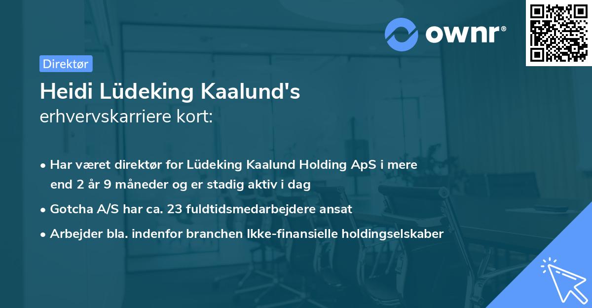 Heidi Lüdeking Kaalund's erhvervskarriere kort