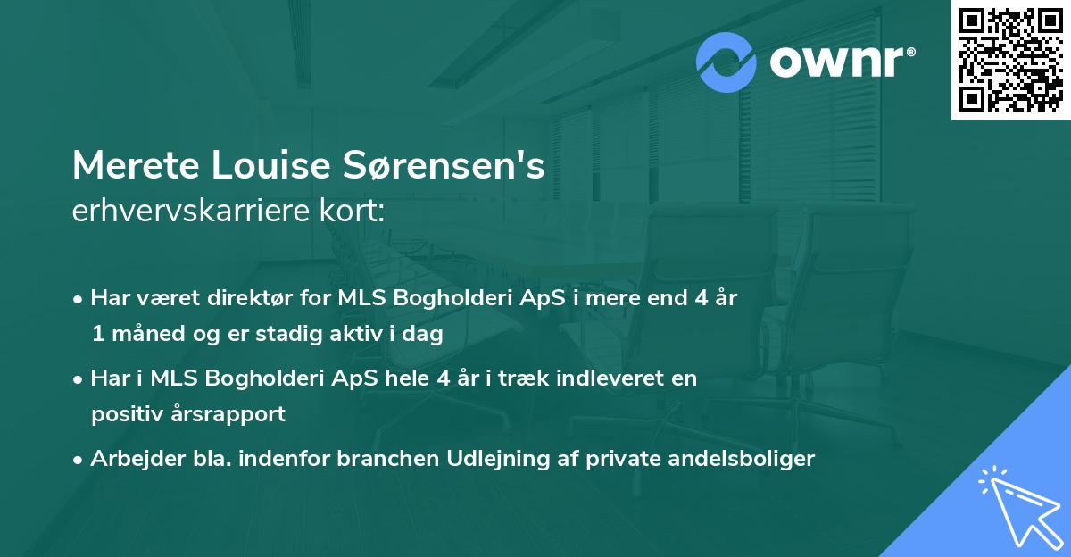 Merete Louise Sørensen's erhvervskarriere kort