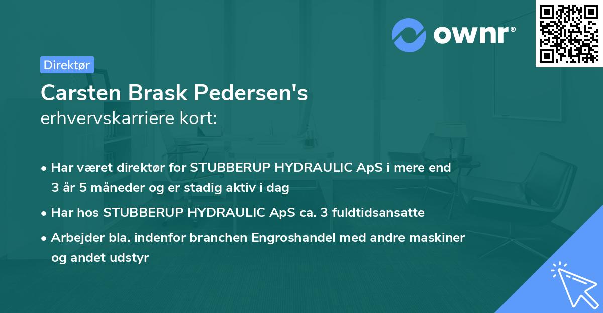 Carsten Brask Pedersen's erhvervskarriere kort