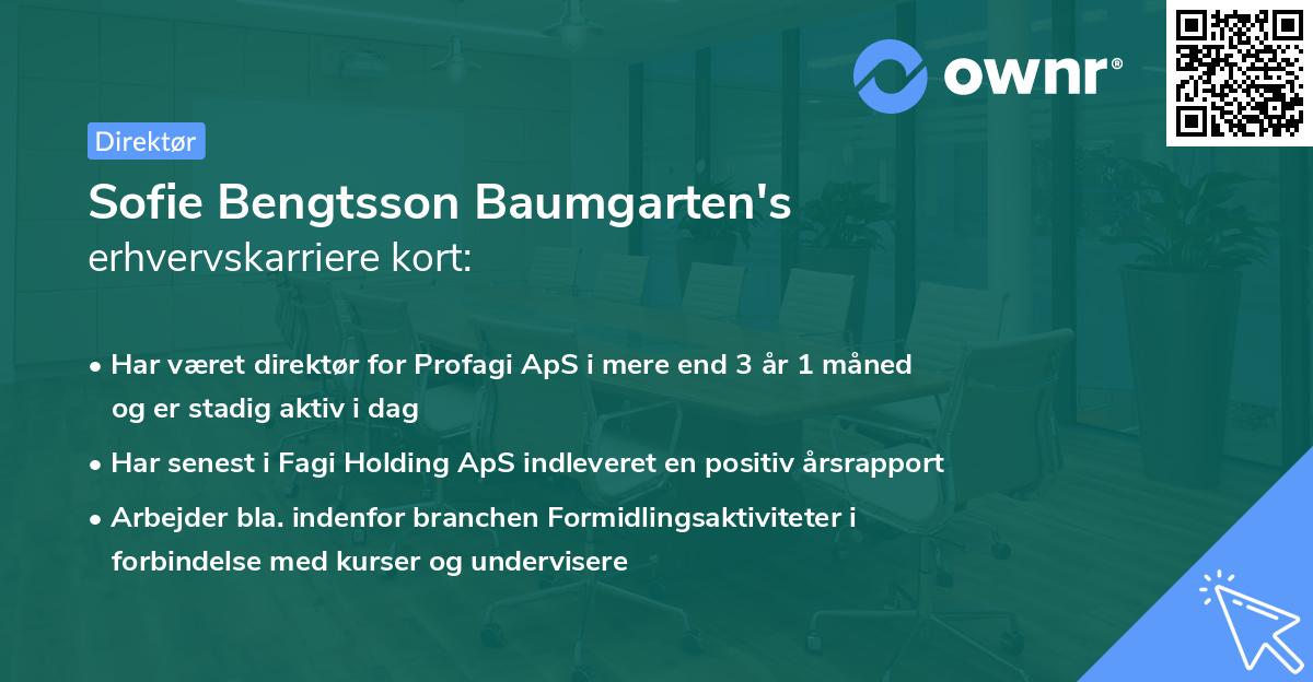 Sofie Bengtsson Baumgarten's erhvervskarriere kort