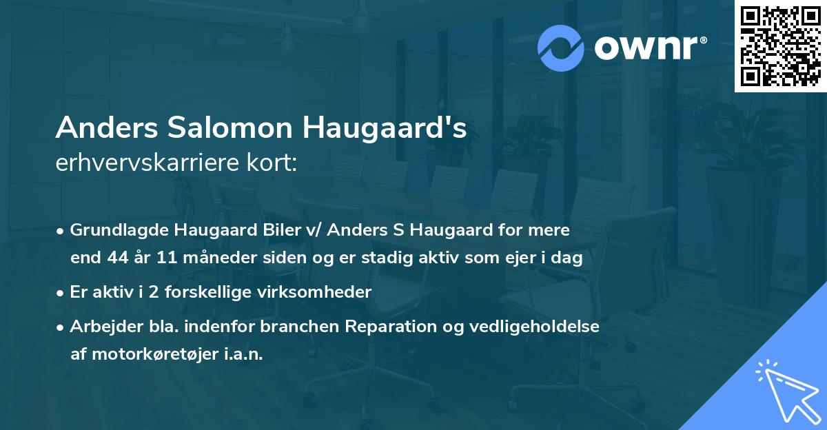 Anders Salomon Haugaard's erhvervskarriere kort