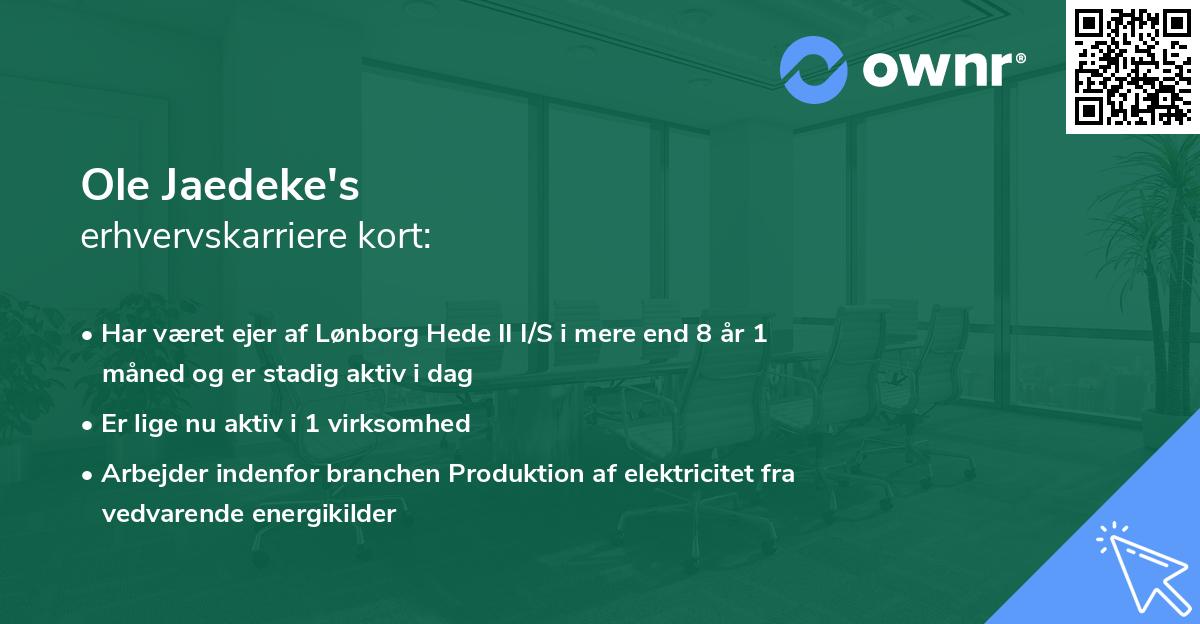 Ole Jaedeke's erhvervskarriere kort