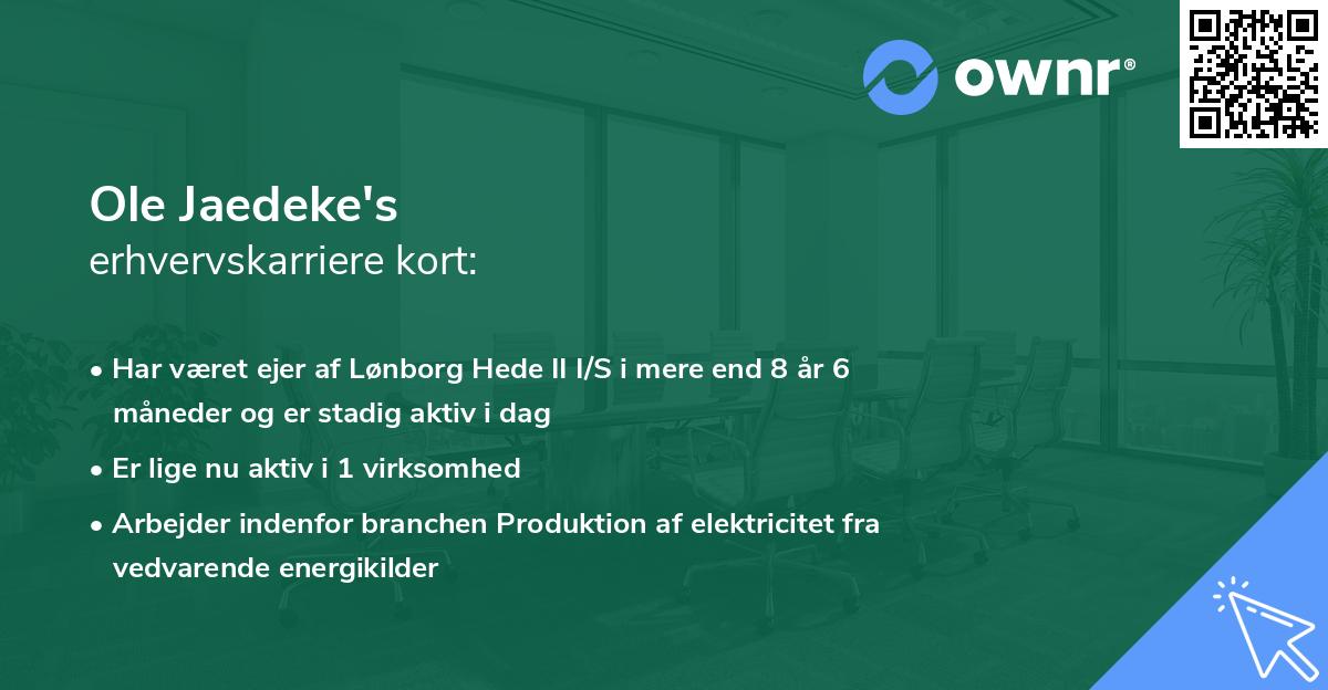 Ole Jaedeke's erhvervskarriere kort
