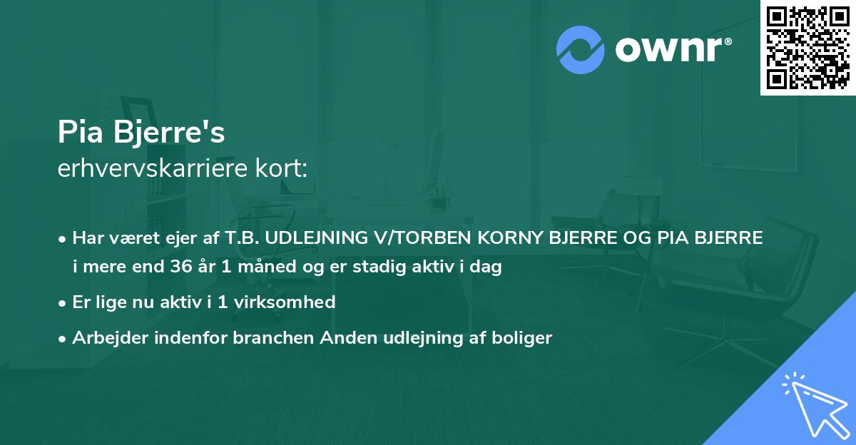 Pia Bjerre's erhvervskarriere kort