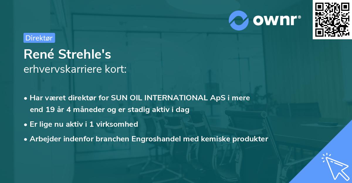 René Strehle's erhvervskarriere kort