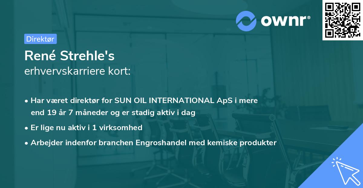 René Strehle's erhvervskarriere kort