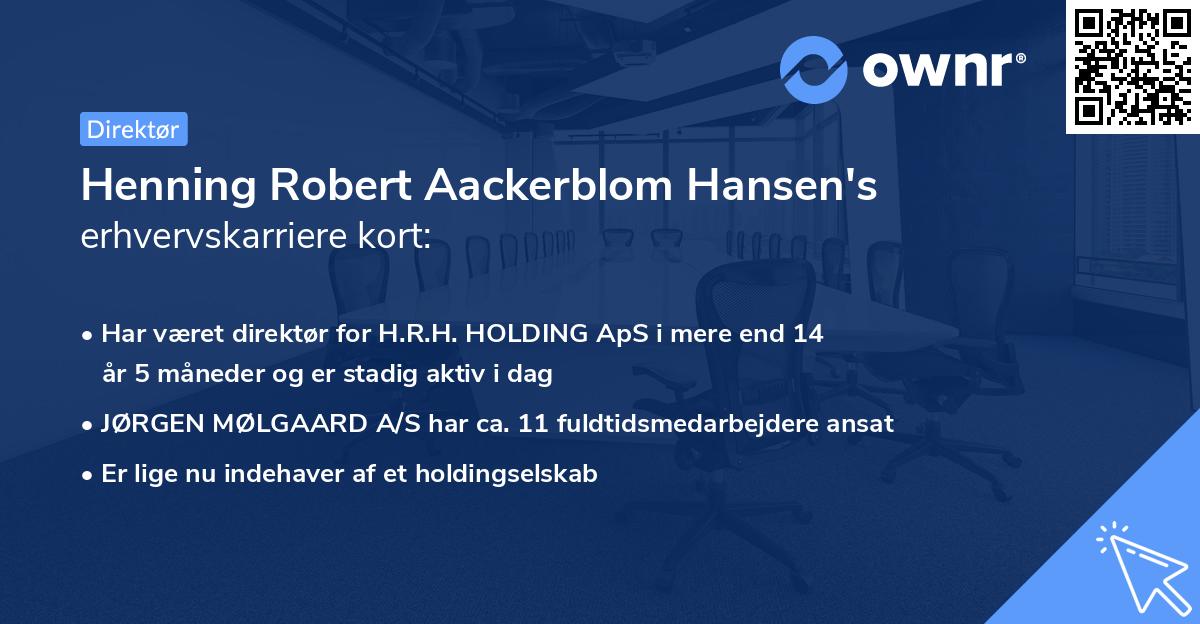 Henning Robert Aackerblom Hansen's erhvervskarriere kort