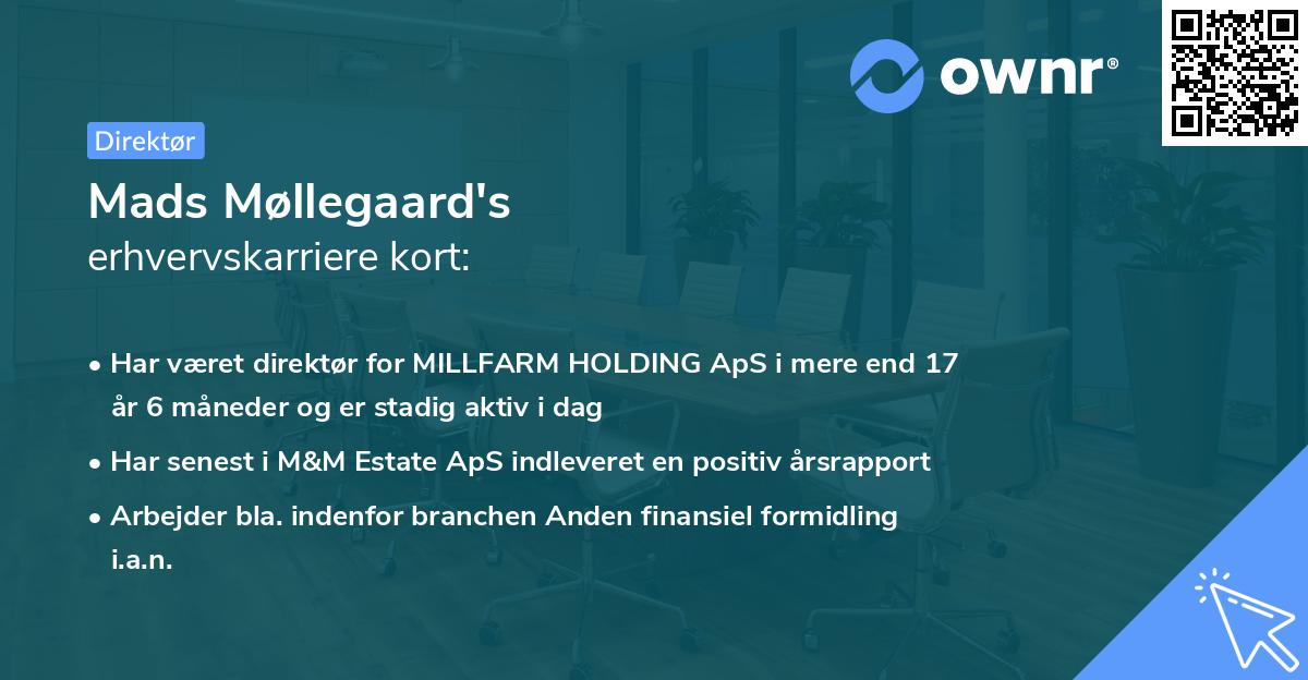 Mads Møllegaard's erhvervskarriere kort