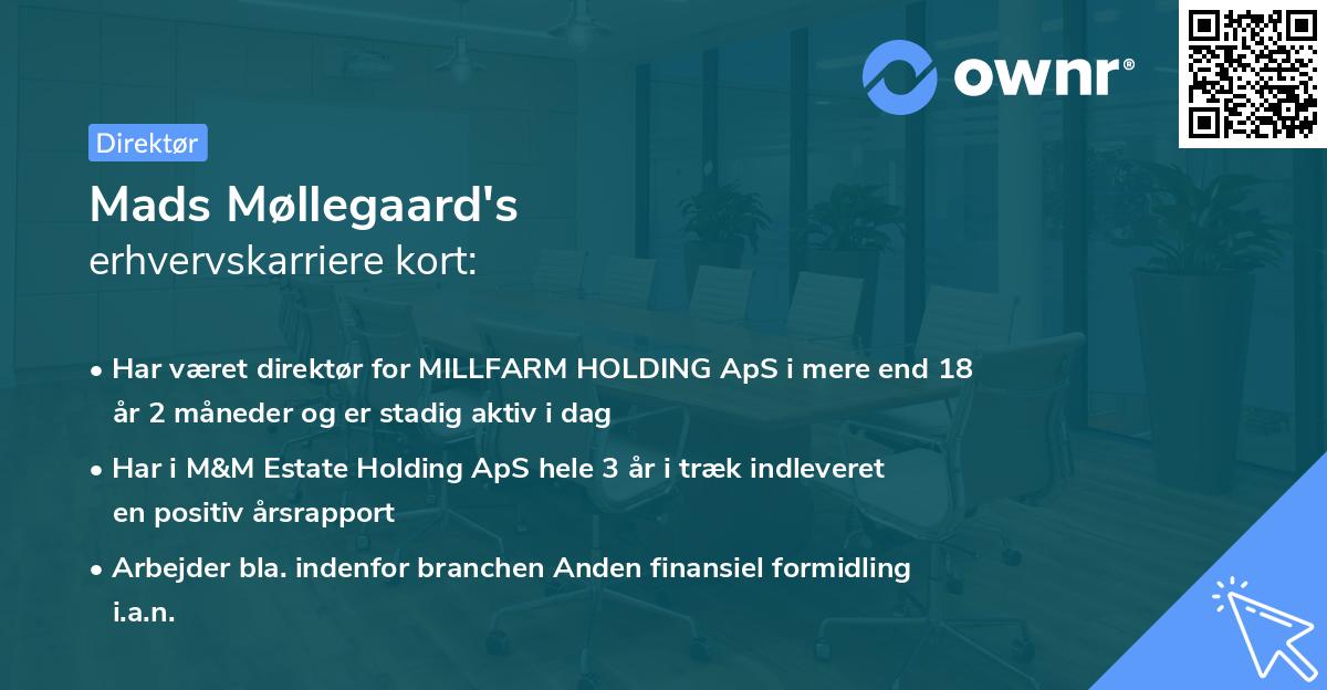 Mads Møllegaard's erhvervskarriere kort