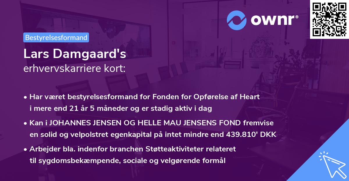 Lars Damgaard's erhvervskarriere kort