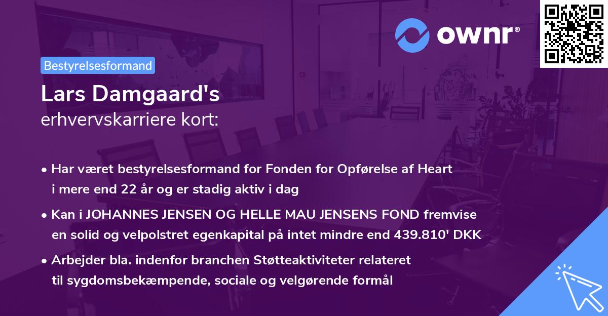 Lars Damgaard's erhvervskarriere kort