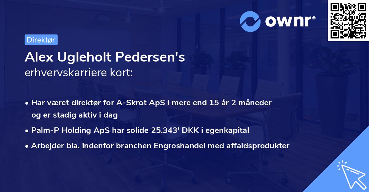 Alex Ugleholt Pedersen's erhvervskarriere kort