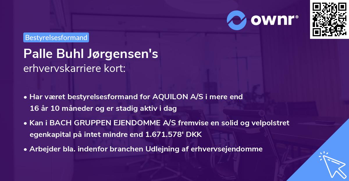Palle Buhl Jørgensen's erhvervskarriere kort