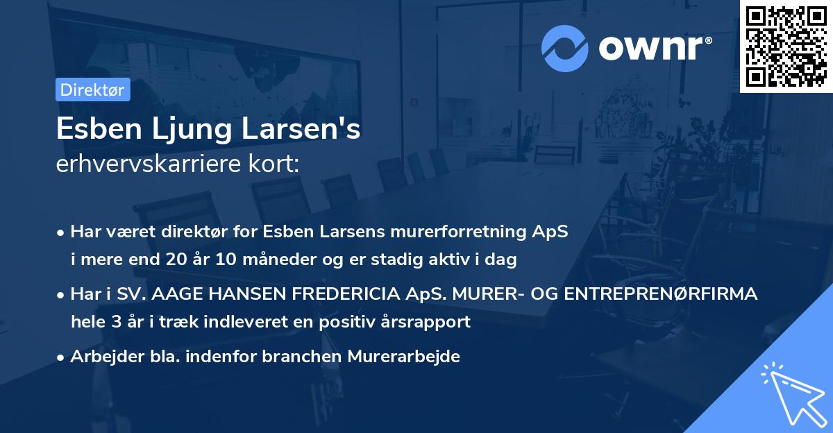 Esben Ljung Larsen's erhvervskarriere kort