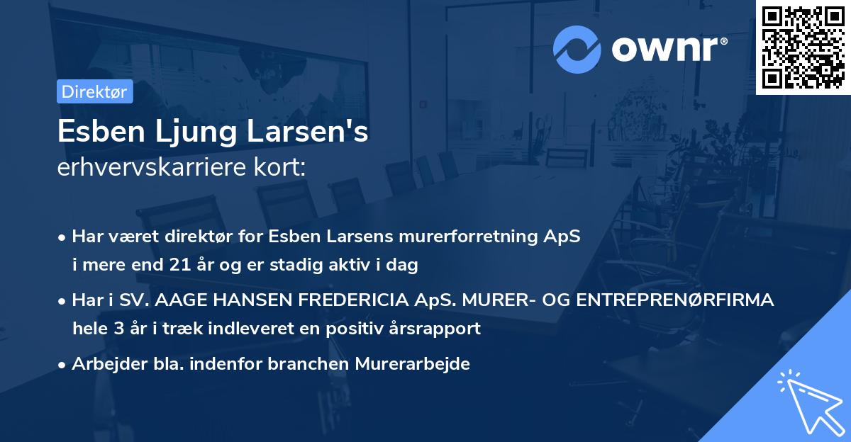 Esben Ljung Larsen's erhvervskarriere kort