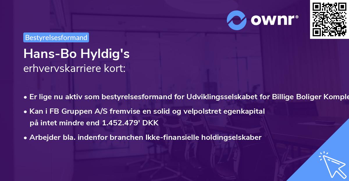 Hans-Bo Hyldig's erhvervskarriere kort