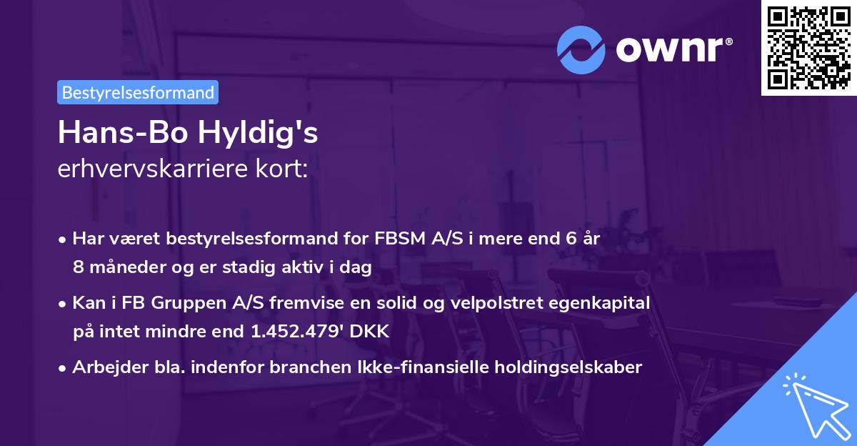 Hans-Bo Hyldig's erhvervskarriere kort
