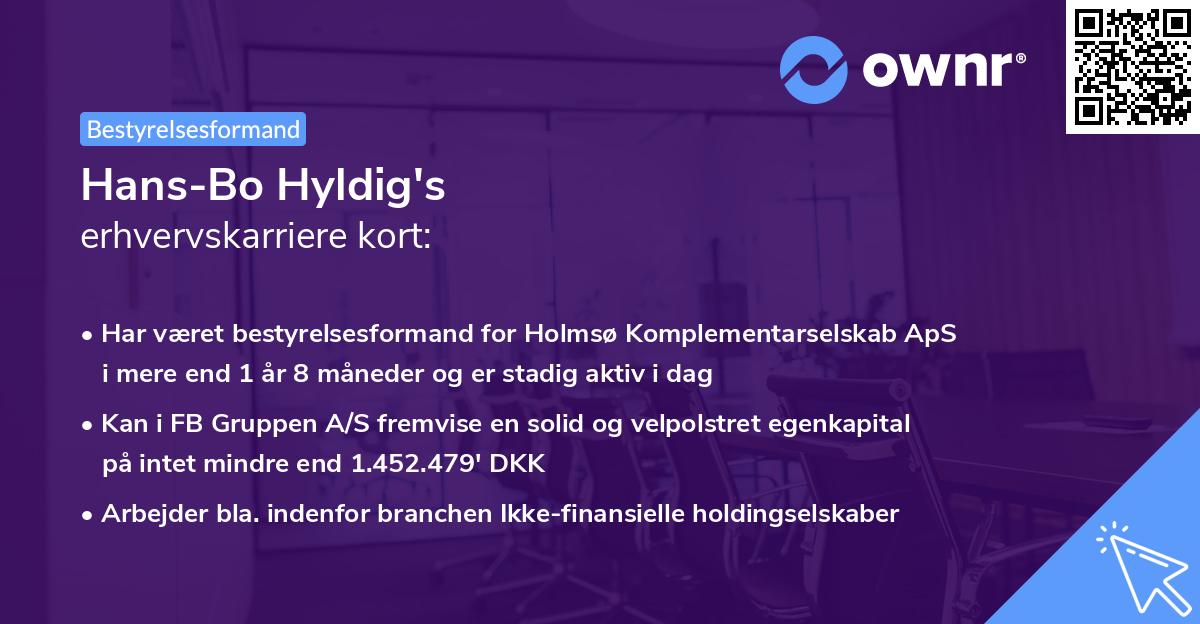 Hans-Bo Hyldig's erhvervskarriere kort