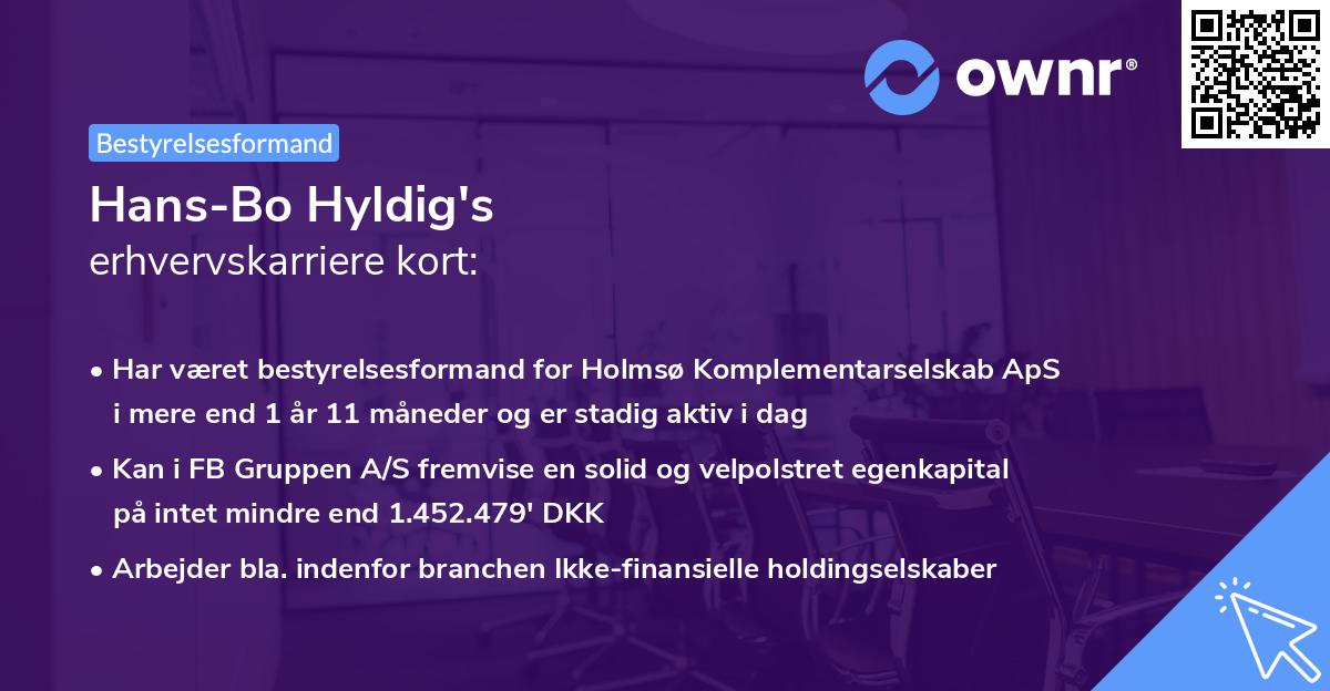 Hans-Bo Hyldig's erhvervskarriere kort