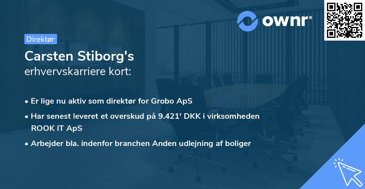 Carsten Stiborg's erhvervskarriere kort