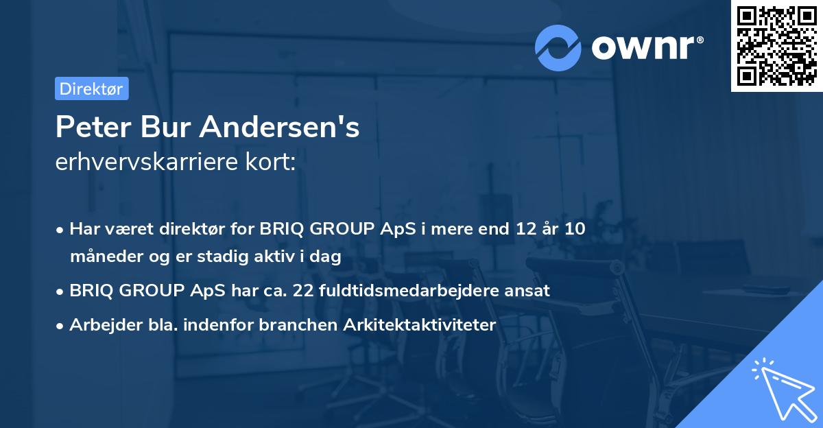 Peter Bur Andersen's erhvervskarriere kort