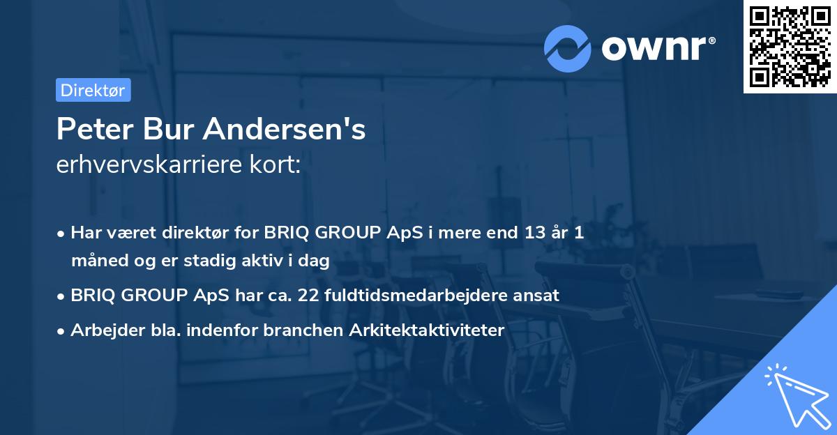 Peter Bur Andersen's erhvervskarriere kort