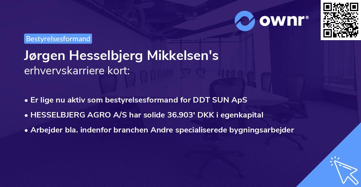 Jørgen Hesselbjerg Mikkelsen's erhvervskarriere kort