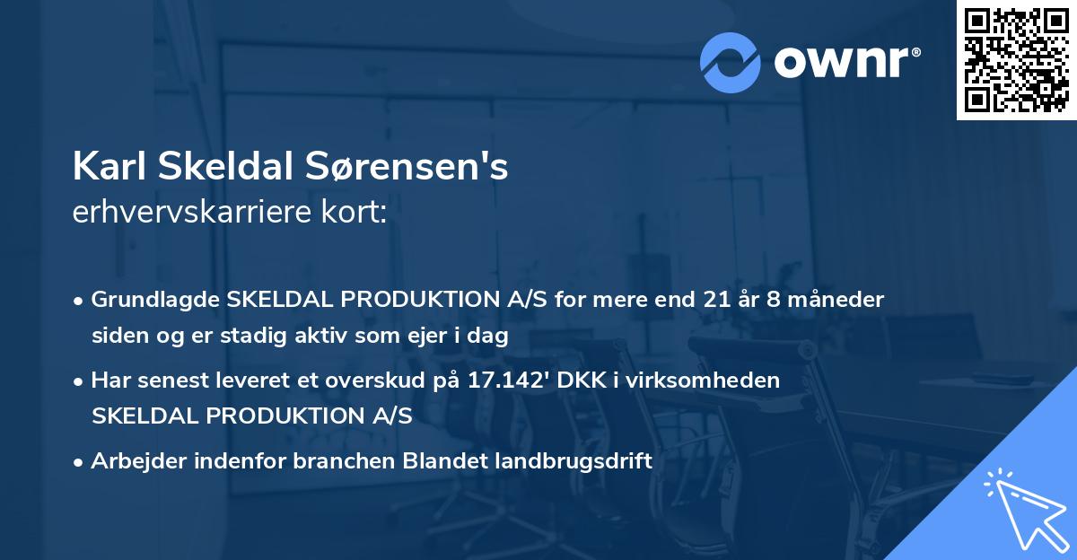 Karl Skeldal Sørensen's erhvervskarriere kort
