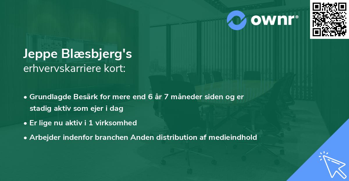 Jeppe Blæsbjerg's erhvervskarriere kort