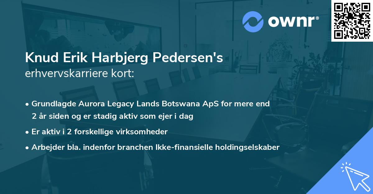 Knud Erik Harbjerg Pedersen's erhvervskarriere kort