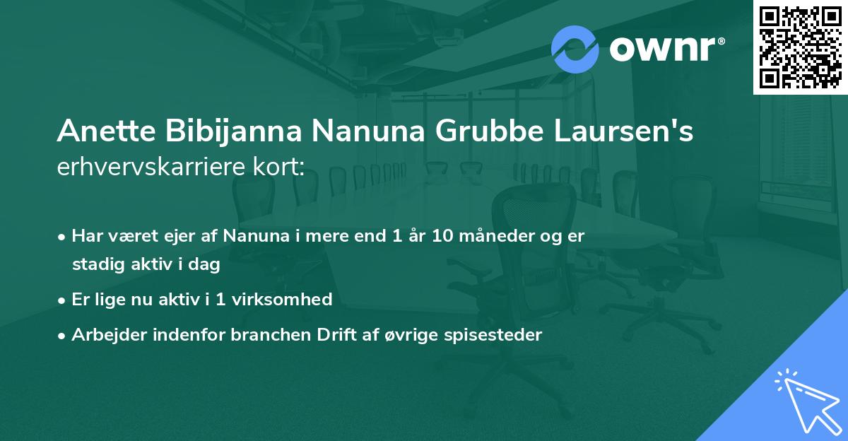 Anette Bibijanna Nanuna Grubbe Laursen's erhvervskarriere kort