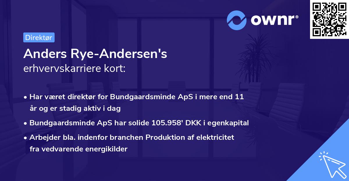 Anders Rye-Andersen's erhvervskarriere kort