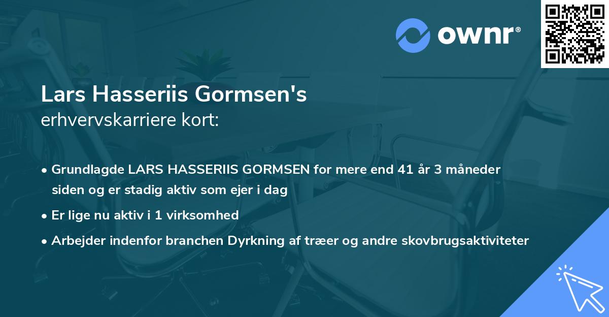 Lars Hasseriis Gormsen's erhvervskarriere kort
