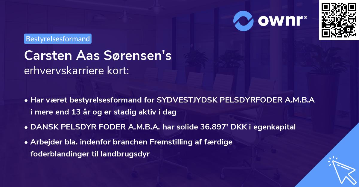 Carsten Aas Sørensen's erhvervskarriere kort