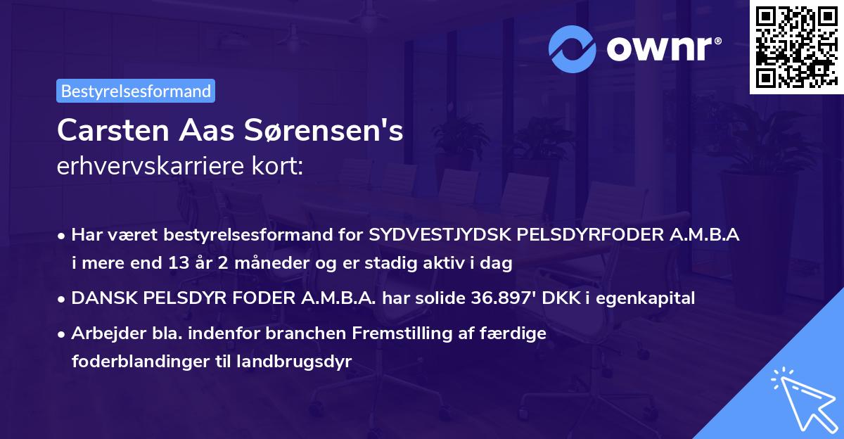 Carsten Aas Sørensen's erhvervskarriere kort