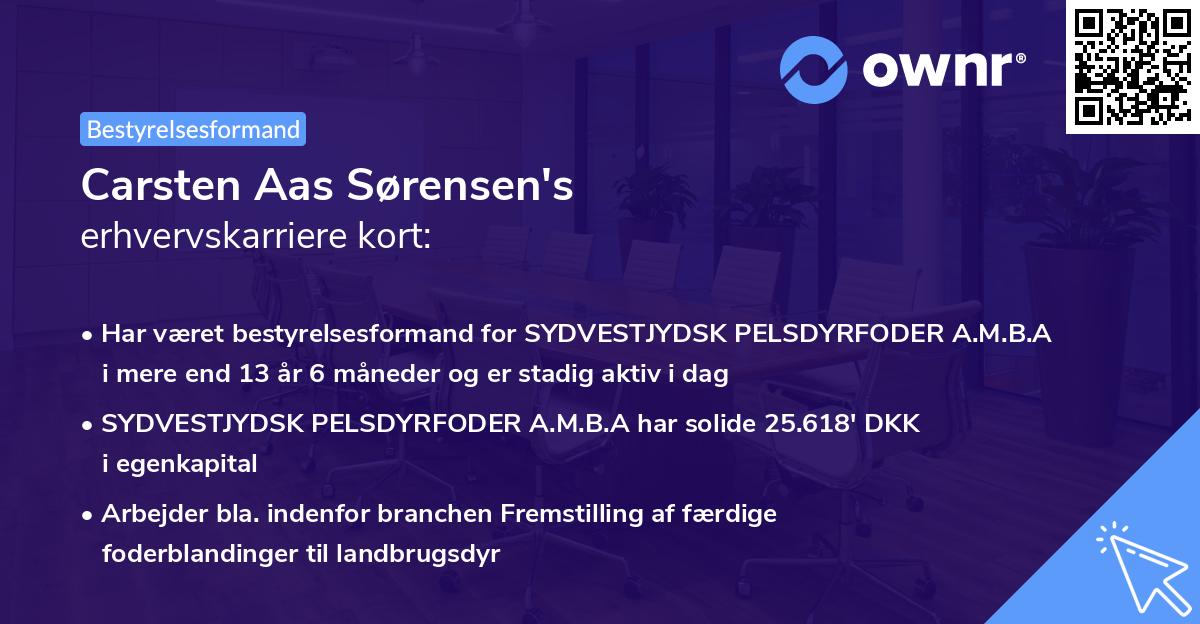 Carsten Aas Sørensen's erhvervskarriere kort