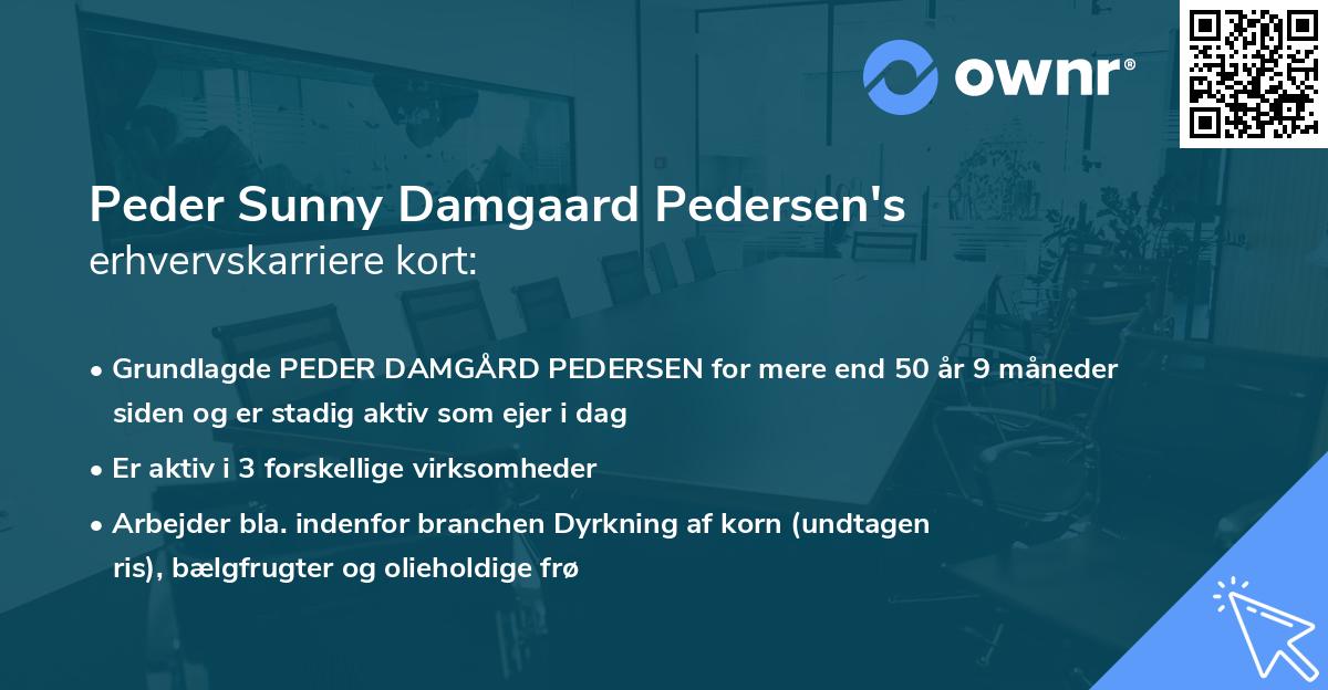 Peder Sunny Damgaard Pedersen's erhvervskarriere kort