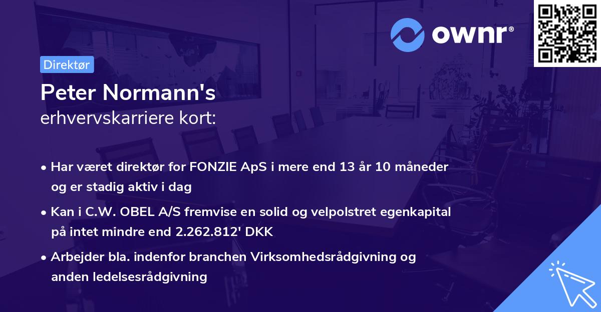 Peter Normann's erhvervskarriere kort