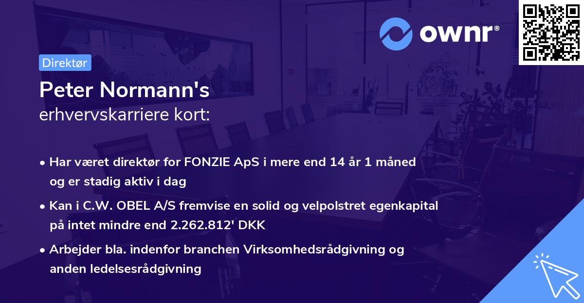 Peter Normann's erhvervskarriere kort