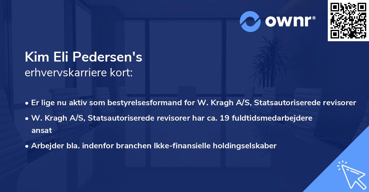 Kim Eli Pedersen's erhvervskarriere kort