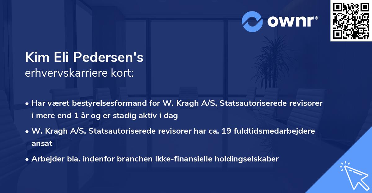 Kim Eli Pedersen's erhvervskarriere kort