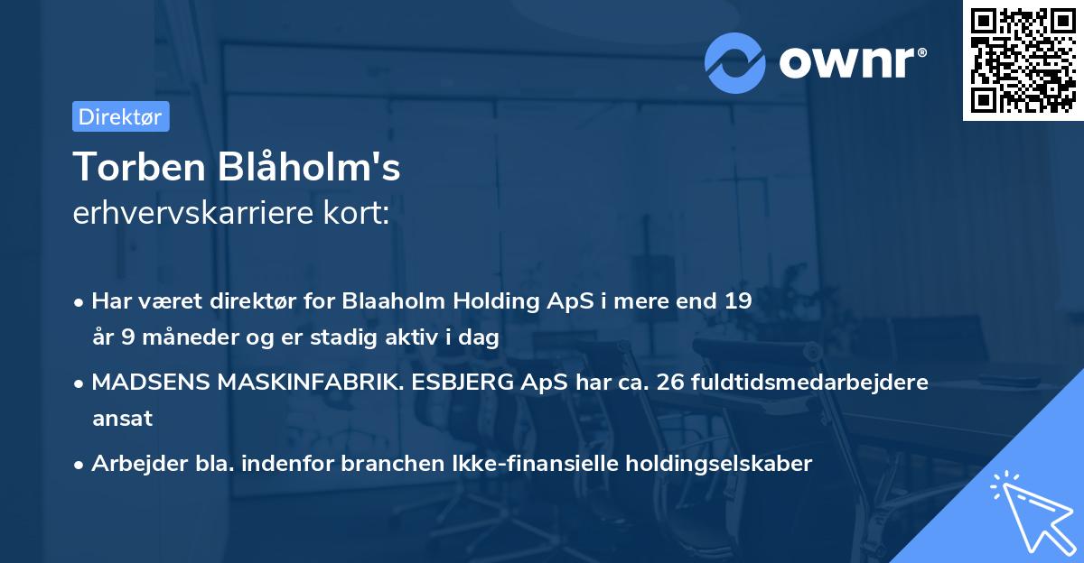 Torben Blåholm's erhvervskarriere kort