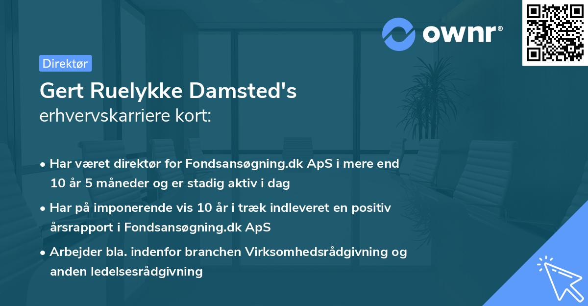 Gert Ruelykke Damsted's erhvervskarriere kort